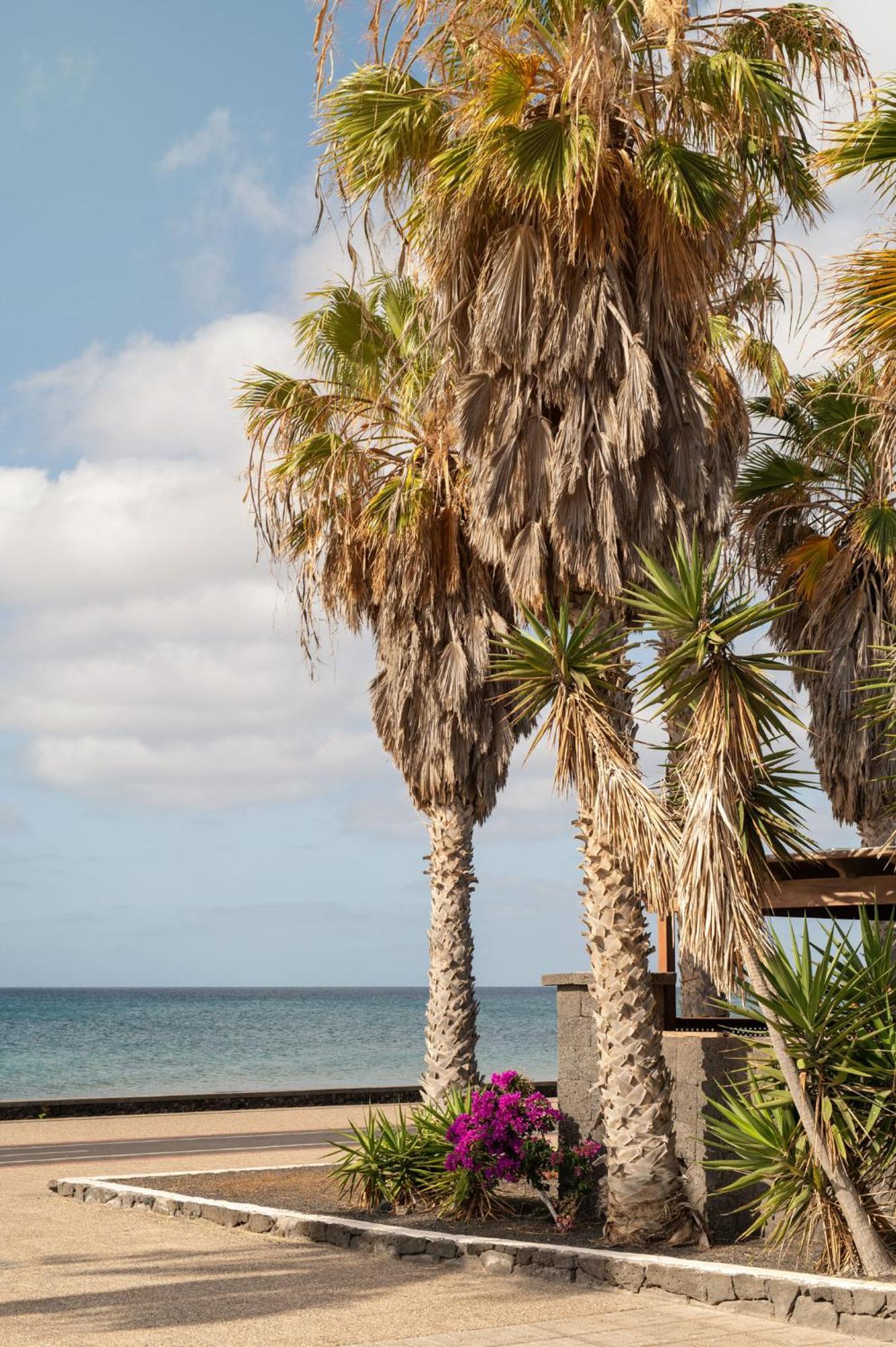 Vila La Casa De La Playa Puerto del Carmen  Exteriér fotografie